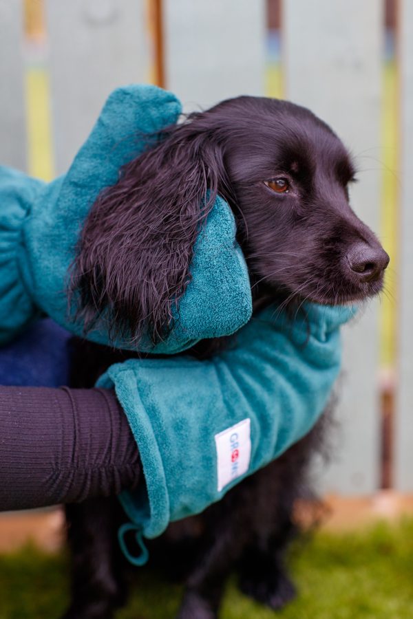 Groomit Drying mitts