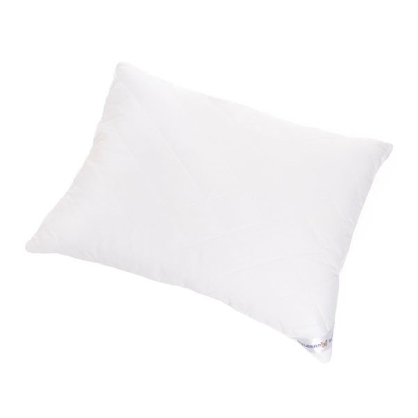 Mulberry Silk Pillows